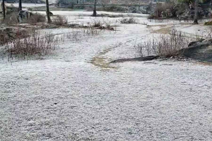 শৈত্যপ্রবাহের কারণে রাজস্থানের বহু জায়গায় তাপমাত্রা শূন্য থেকে হিমাঙ্কের নীচে পৌঁছেছে। চুরুতে শুক্রবার রাতে সর্বনিম্ন তাপমাত্রা শূন্য ডিগ্রি সেলসিয়াস। রাজ্যের মধ্যে সবচেয়ে তাপমাত্রা কম মাউন্ট আবুতে। সেখানে তাপমাত্রা হিমাঙ্কের ৬ ডিগ্রি নীচে পৌঁছেছে। সীকরে হিমাঙ্কের ১.৫ ডিগ্রি নীচে, ফতেহপুরে হিমাঙ্কের ১.৮ ডিগ্রি নীচে ছিল শুক্রবারের সর্বনিম্ন তাপমাত্রা। তাপমাত্রা নামতে থাকায় জয়পুরে ৭ জানুয়ারি পর্যন্ত স্কুল ছুটি ঘোষণা করেছিল প্রশাসন।