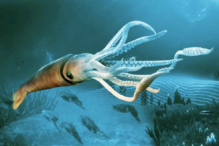 অ্যান্টনের দাবি, অর্গানিজ়ম ৪৬বি রূপ বদলাতে পারে। প্রয়োজনে নিজের আকারও বদলে ফেলে। আর তা করেই বিজ্ঞানীদের দলটির উপর নজর রেখেছিল সে। প্রাণীটির দৈর্ঘ্য প্রায় ৩৩ ফুট।