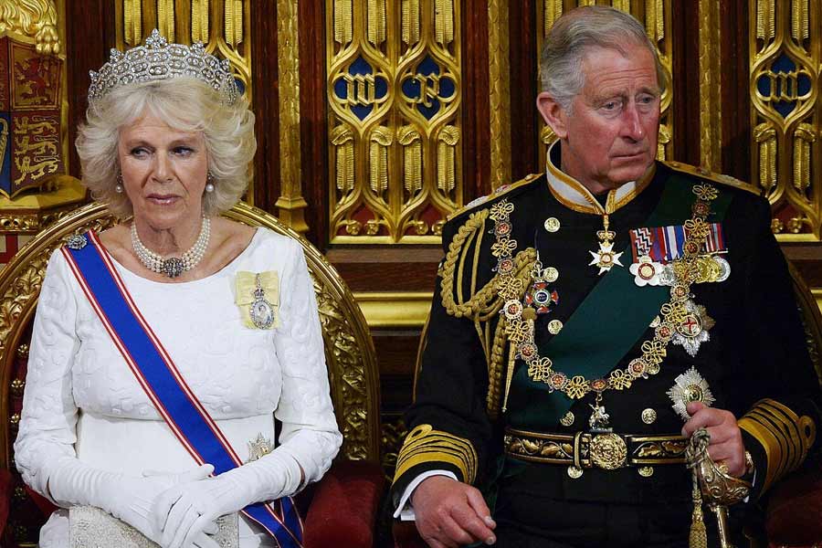 মা ডায়ানার মৃত্যুর পর বাবা চার্লস বিয়ে করেন বর্তমান কুইন কনসোর্ট ক্যামিলাকে। হ্যারি এবং দাদা উইলিয়াম নাকি বাবার দ্বিতীয় বিয়েতে তীব্র আপত্তি জানান। কিন্তু চার্লস সে কথা শোনেননি। বইয়ের ফাঁস হওয়া অংশে রয়েছে, আইনত পরিবারের অংশ হওয়ার আগে বিমাতা ক্যামিলার সঙ্গে একাধিক বার বৈঠক করেন হ্যারি ও উইলিয়াম।