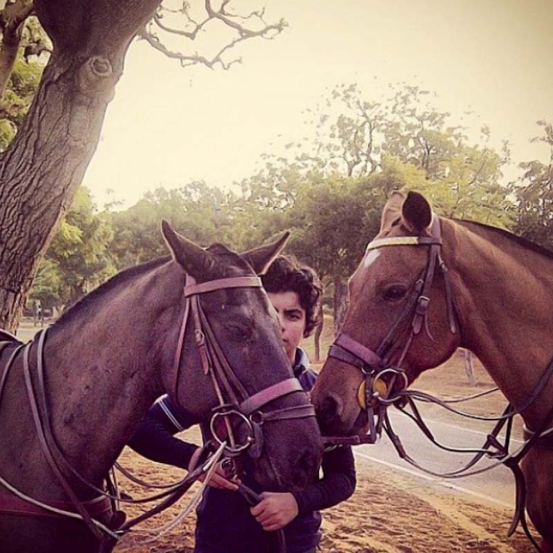 শিখরের বাবা সঞ্জয় পাহাড়িয়া ব্যবসা করেন। তাই ছোটবেলা থেকে ব্যবসার প্রতি ঝুঁকেছিলেন শিখর। ১৩ বছর বয়সে নিজের একটি কনসালটেন্সি সংস্থা গড়ে তুলেছিলেন শিখর। এই সংস্থার মাধ্যমে যাঁরা নতুন পোষ্য কিনেছেন, তাঁদের পরামর্শ দেওয়া হত।