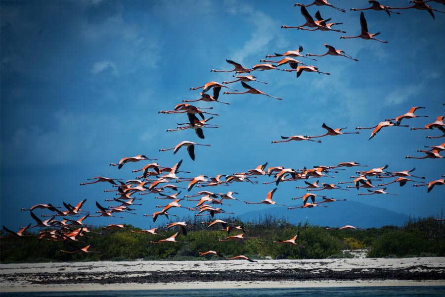 প্রাকৃতিক দৃশ্যের এমন সম্ভার থাকা সত্ত্বেও অদ্ভুত ভাবে প্রচারের আলো পৌঁছয়নি এখানে।