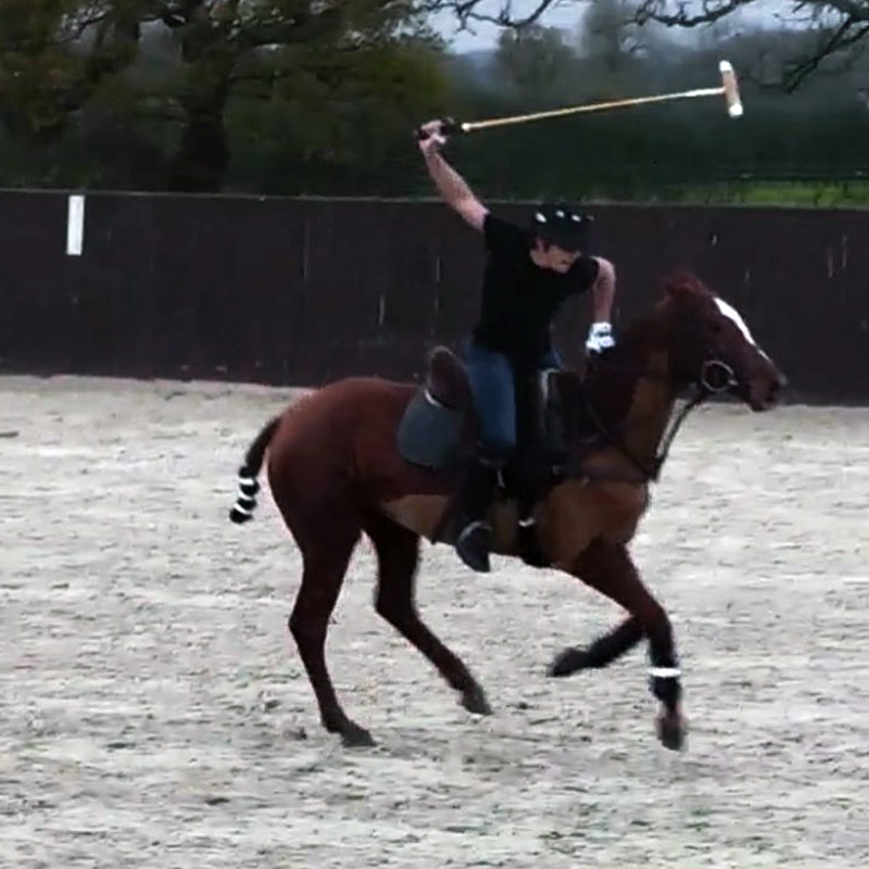 ২০১৮ সালে শিখর তাঁর ভাই বীর পাহাড়িয়ার সঙ্গে হাত মিলিয়ে একটি বিনোদন এবং গেমিং সংস্থা প্রতিষ্ঠা করেন। শিখরের পরিবারের সকলে রাজনীতির সঙ্গে যুক্ত। কিন্তু রাজনীতির চেয়ে ভিডিয়ো গেম এবং পোলো খেলার প্রতি বেশি আগ্রহ তাঁর।