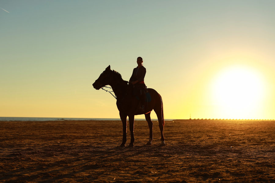 পারস্যের সম্রাট প্রথম শাপুরের ক্রীতদাস ছিলেন ভ্যালেরিয়ান। তিনি সবসময়ই ভ্যালেরিয়ানেরহাত-পা চেন দিয়ে বেঁধে রাখতেন। ঘোড়ায় চড়ার সময় ভ্যালেরিয়ানের হাত এবং হাঁটুর উপর ভর দিয়ে উঠতেন রাজা। হঠাৎ শাপুরের মনবদল হল। ভ্যালেরিয়ানকে প্রাণে মেরে ফেলতে চাইলেন তিনি।