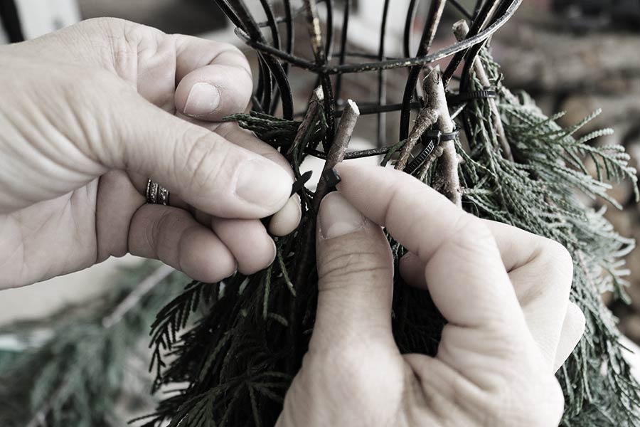 শাস্তি দেওয়ার জন্য কায়দা করে কাটা হত মোটা গাছের ডাল। তা অপরাধীদের নগ্ন শরীরে এমন ভাবে পরিয়ে দেওয়া হত যেন তাঁর হাত, পা এবং মুখের অংশটুকু দেখা যায়। দেহের বাকি অংশটুকু থাকত গাছের ডালের ভিতরে। অপরাধীকে দিনের পর দিন বলপূর্বক খাওয়ানো হত মধু এবং দুধ।