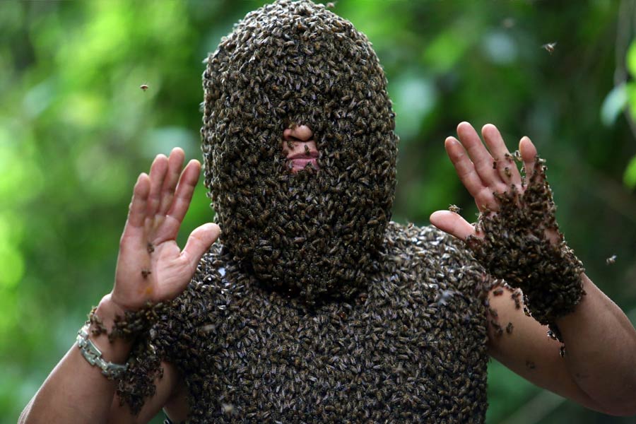 এমনকি, দেহের অনাবৃত অংশে মধু মাখানো হত। মধুর আকর্ষণে মৌমাছি ঘিরে ফেলত অপরাধীর দেহের অনাবৃত অংশ। অপরাধীকেও সেই অসহ্য যন্ত্রণা দিনের পর দিন সহ্য করতে হত। প্রতি দিন অনবরত মধু এবং দুধ খাওয়ার ফলে ডায়ারিয়া হয়ে যেত অপরাধীর। এ ভাবেই তিলে তিলে এক দিন মারা যেতেন অপরাধী।