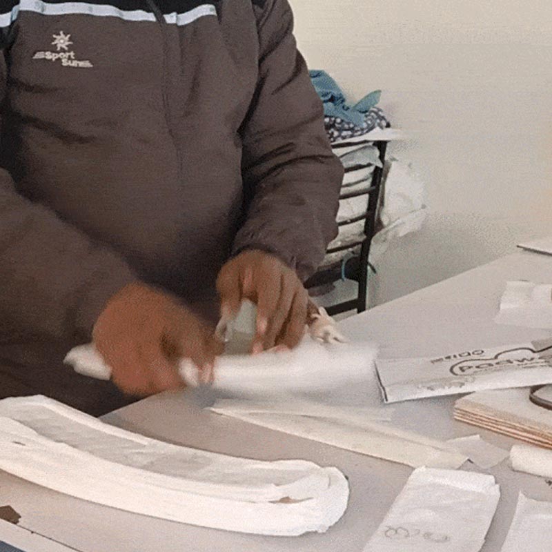 ২০১৫-১৬ সাল নাগাদ অনুরাগ এবং ভিরাগ নিজেদের একটি সংস্থাও খুলে ফেলেন। প্যাড তৈরির যন্ত্রের সঙ্গে প্যাডও তৈরি করতেন দু’জনে। কিন্তু শুরুতে তাঁদের ব্যবসা লাভের মুখ দেখতে পায়নি। পরে তাঁদের সঙ্গে একটি স্বেচ্ছাসেবী সংস্থা হাত মেলায়।