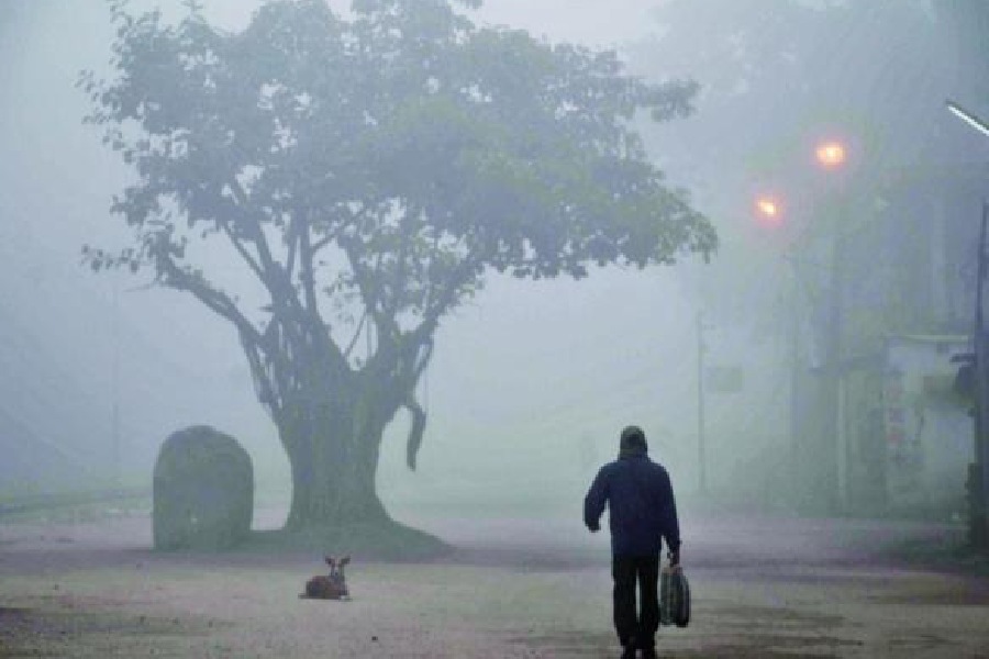 সোমবার বাগডোগরার সর্বনিম্ন তাপমাত্রা ছিল ৭.৪ ডিগ্রি সেলসিয়াস। যা গ্যাংটকের চেয়েও কম। গ্যাংটকে সোমবার ৭.৮ ডিগ্রি সেলসিয়াস তাপমাত্রা অনুভূত হয়েছে।