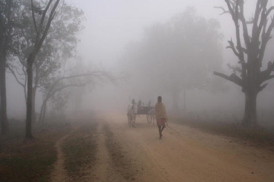 এর আগে দেখা গিয়েছিল, দার্জিলিংয়ের শীতকে সমানে সমানে পাল্লা দিচ্ছে পুরুলিয়া। তবে সোমবার পুরুলিয়ার তাপমাত্রা তুলনামূলক বেশি ছিল। পারদ ছুঁয়েছিল ৯.২ ডিগ্রি সেলসিয়াস।
