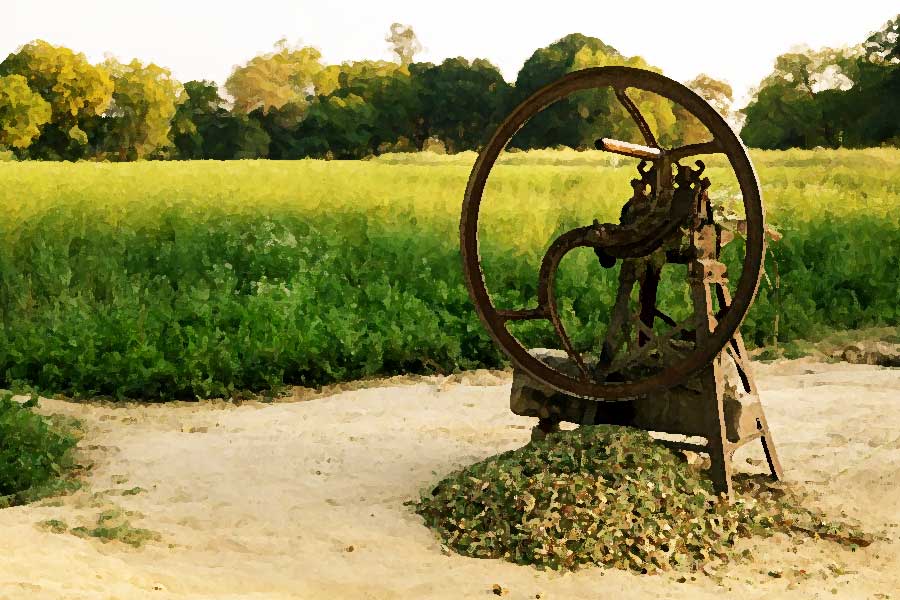 পুলিশের প্রাথমিক অনুমান ছিল, কাজ করার সময় কোনও ভাবে চলন্ত যন্ত্রের সামনে পড়ে যান সুভাষ। তখনই যন্ত্রের ব্লেডে মুণ্ডচ্ছেদ হয় তাঁর। এ-ও মনে করা হয় যে, সুভাষের মাথা কোনও বন্যপ্রাণী তুলে নিয়ে গিয়েছে।