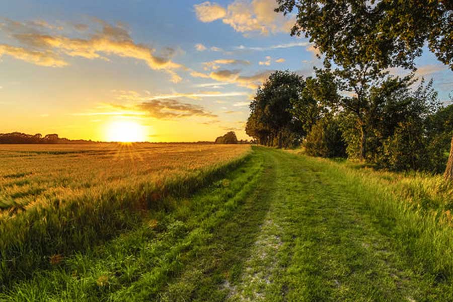 অন্য দিকে, ১৬ ডিসেম্বর রাত থেকে নিখোঁজ হন প্রায় দু’কিমি দূরে অন্য এক গ্রামের বাসিন্দা রবীন্দ্র। পানাসক্ত রবীন্দ্র মাঝেমধ্যেই মদ খেয়ে বাড়ি ফিরতেন না। তাই তাঁর ঘরে না ফেরা নিয়ে পরিবারের সদস্যরা প্রথমে খুব একটা চিন্তা করেননি। কিন্তু পরের দিনও তিনি ঘরে না ফেরায় পরিবারের সদস্যদের টনক নড়ে।