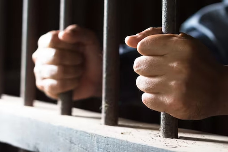 পুলিশের কাছে চুরির কথা স্বীকার করার পর ভিনসেনজোকে ১ বছর ১৫ দিনের জন্য জেল খাটার নির্দেশ দেওয়া হয়। আদালতে ভিনসেনজো নিজেকে ‘দেশপ্রেমিক’ বলে দাবি করেন। মোনালিসার ছবি ইটালি থেকে ল্যুভর জাদুঘরে লুট করে নিয়ে আসা হয়েছে বলেও দাবি করেন।