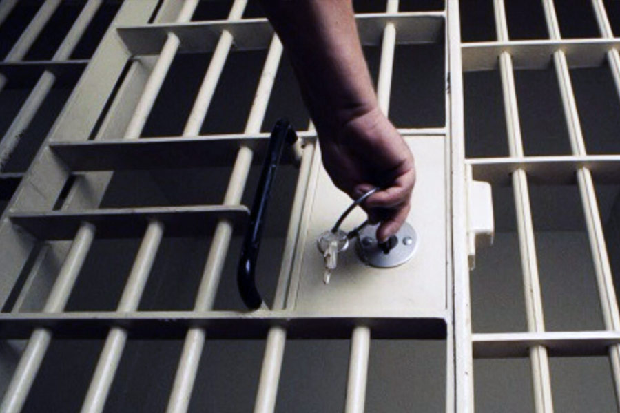 সাত মাস জেল খাটার পর ছাড়া পান তিনি। কিন্তু এখনও অনেকের অনুমান যে, ল্যুভর জাদুঘরে মোনালিসার নকল ছবি রয়েছে। আসল ছবি বিক্রি করে দিয়েছেন ভিনসেনজোরা।