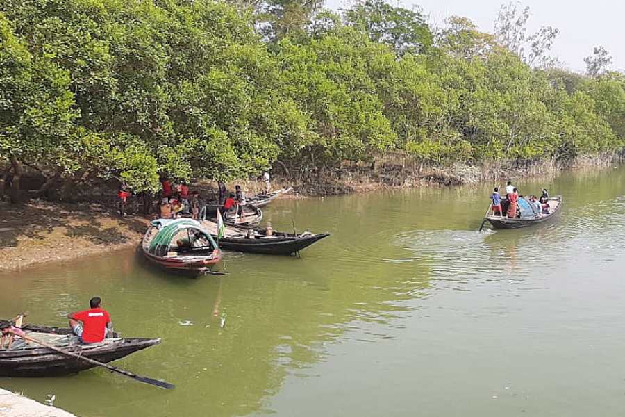 সুন্দরবনে পর্যটক।