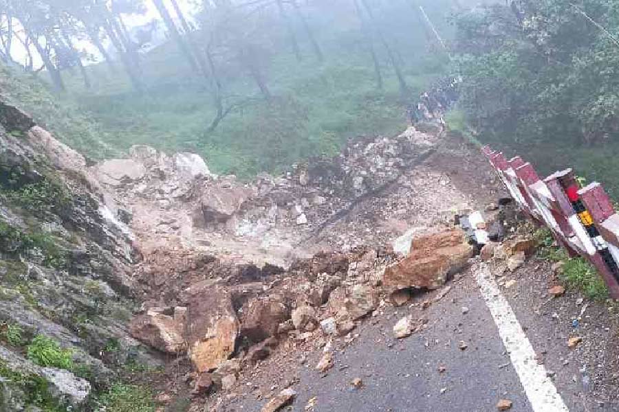 বিশেষজ্ঞদের মতে, ওই শহরের যা ধারণক্ষমতা, সে তুলনায় যে ভাবে যত্রতত্র নির্মাণকাজ হচ্ছে, তা শহরের জন্য বিপজ্জনক। সেই সঙ্গে জনসংখ্যা বাড়ছে। পর্যটকদের ভিড়ও বাড়ছে। সব মিলিয়ে আগামী দিনে বিপর্যয় ঘটতে পারে নৈনিতালে। 