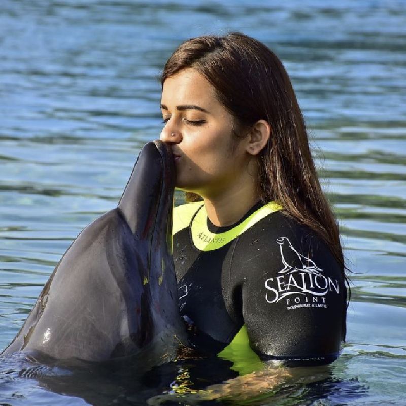 বর্তমানে বাড়ি থেকেই কেক ডেলিভারির ব্যবসা করেন দেবিশা। সাধারণত ডিম ছাড়া (এগলেস) কেক বানান তিনি। মুম্বইয়ের বিভিন্ন প্রান্তে সেই কেক পাঠানোর ব্যবস্থা রয়েছে।