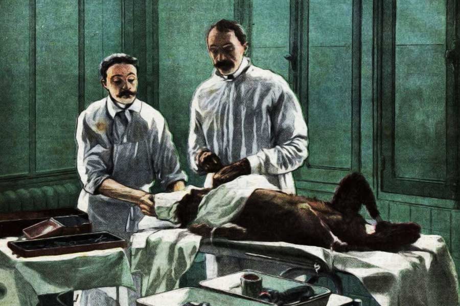 মূলত মানবদেহে গ্রন্থি প্রতিস্থাপনের জন্য শিরোনামে উঠে এসেছিলেন ভোরোনফ। তাঁর দাবি ছিল, এই ধরনের প্রতিস্থাপনের পর মানুষের বয়স কমে যায় হু হু করে। গ্রন্থি প্রতিস্থাপনে নিশ্চিত সুফলের প্রতিশ্রুতিও দিয়েছিলেন এই ফরাসি চিকিৎসক।