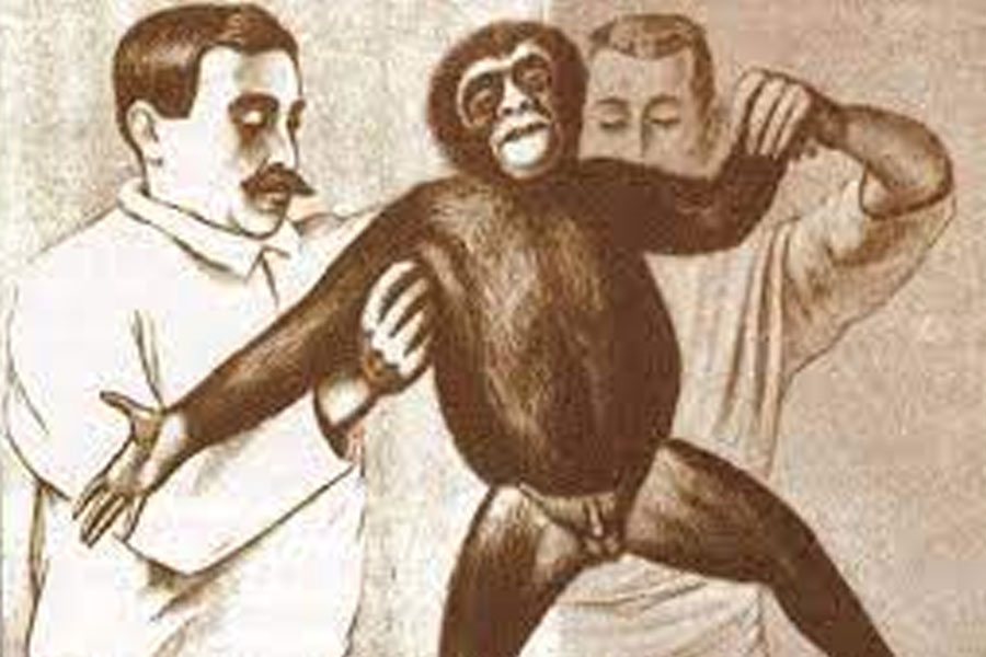 চিকিৎসা বিজ্ঞানে নোবেলজয়ী ক্যারলের কাছ থেকে শল্যচিকিৎসার খুঁটিনাটি শেখেন ভোরোনফ। পশুর দেহ থেকে অঙ্গপ্রত্যঙ্গ কেটে মানুষের দেহে প্রতিস্থাপন করার বিষয়ে এই সময়েই আগ্রহী হয়ে উঠেছিলেন ভোরোনফ।