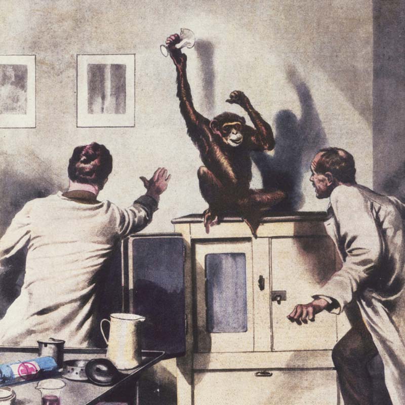 ১৮৮৯ সালে ভোরোনফ জনপ্রিয় শরীরতত্ত্ববিদ চার্লস-এডুয়ার্ড ব্রাউন সেকুয়ার্ডের সঙ্গে কাজ করতে শুরু করেন। মনের মতো সঙ্গী পেয়েছিলেন ভোরোনফ। কারণ সেকুয়ার্ডও পশুর হরমোনের মাধ্যমে মানুষের বয়স কমানোর পন্থা আবিষ্কারে আগ্রহী ছিলেন। এমনকি নিজের দেহে পশুর হরমোন ইঞ্জেকশনের মাধ্যমে প্রবেশও করিয়েছিলেন তিনি। তবে কাঙ্ক্ষিত ফল মেলেনি।