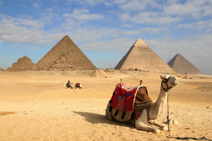 ১৮৯৬ সালে ফ্রান্স ছেড়ে মিশর চলে আসেন ভোরোনফ। সেখানে তিনি তৃতীয় লিঙ্গের মানুষদের সংস্পর্শে থেকে দীর্ঘ সময় তাঁদের পর্যবেক্ষণ করেন। অণ্ডকোষ না থাকায় তাঁদের শরীরে কী কী বিশেষ বৈশিষ্ট্য রয়েছে, কাছ থেকে দেখে আসেন ভোরোনফ।