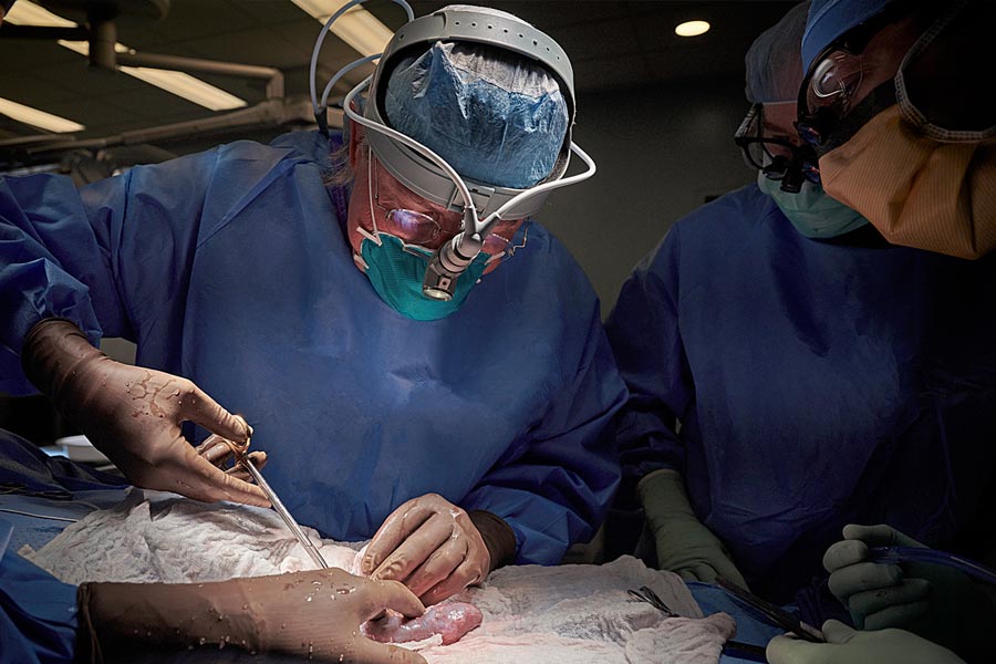 ভোরোনফের কেরিয়ার যখন মধ্যগগনে, তখন আচমকাই থেমে যায় তাঁর দৌড়। বিশ্বের নানা প্রান্ত থেকে বিজ্ঞানীদের একাংশ দাবি করেন, ভোরোনফের কারসাজিতে গলদ রয়েছে। তাঁর প্রস্তাবিত বেশির ভাগ প্রক্রিয়াই ভিত্তিহীন, দাবি করেন বিশেষজ্ঞরা। এমনকি, এই চিকিৎসা প্রক্রিয়ায় বেশ কিছু ত্রুটিও প্রকাশ্যে আসে।