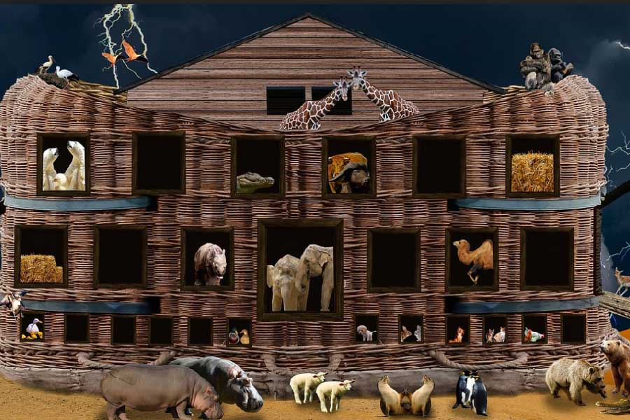 মহাপ্রলয়ের আগে ঈশ্বরের প্রত্যাদেশ পেয়ে নোয়া এক সুবিশাল নৌকা বা আর্ক তৈরি করেন। সেই নৌকায় তিনি যাবতীয় প্রাণীর একটি করে যুগলকে স্থান দেন এবং সপরিবার সেই নৌকায় ঠাঁই নেন।