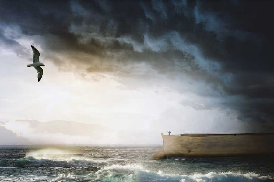 প্রলয়ের পর সেই নৌকার কী হল, এই প্রশ্ন যুগ যুগ ধরে ভাবিয়েছে মানুষকে। প্রাচীন কাল থেকে আজ পর্যন্ত অসংখ্য মানুষ খুঁজে চলেছেন নোয়ার নৌকাকে। খ্রিস্টীয় প্রথম শতক থেকেই এই অনুসন্ধান শুরু হয় বলে ইতিহাসবিদরা জানান। 