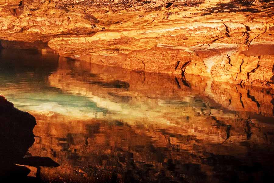 উইলিয়ামের কাণ্ডকারখানায় অতিষ্ঠ হয়ে উঠেছিলেন তাঁর প্রতিবেশীরা। উইলিয়াম মাটি খুঁড়ে সুড়ঙ্গ তৈরি করার সময় জলের সমস্যা দেখা দিত ওই এলাকায়। এমনকি, মাটির নীচে থাকা বিদ্যুতের তার ছিঁড়ে মাঝেমধ্যেই এলাকায় লোডশেডিং হয়ে যেত। উইলিয়ামের বিরুদ্ধে অভিযোগ জানাতে শুরু করেছিলেন তাঁর প্রতিবেশীরা।