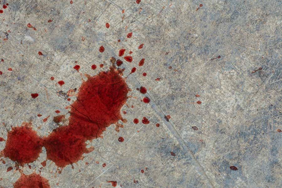 ডায়ানার বিরুদ্ধে সরাসরি খুনের সঙ্গে যুক্ত থাকার অভিযোগ নেই। তিনি খুনের পর কেলসি এবং কেনিসনের সঙ্গে মিলে রক্ত পরিষ্কার করে প্রমাণ লোপাটে শামিল হয়েছিলেন বলে অভিযোগ। দোষীদের সঙ্গে তিনিও শহর ছেড়ে পালিয়ে যান।