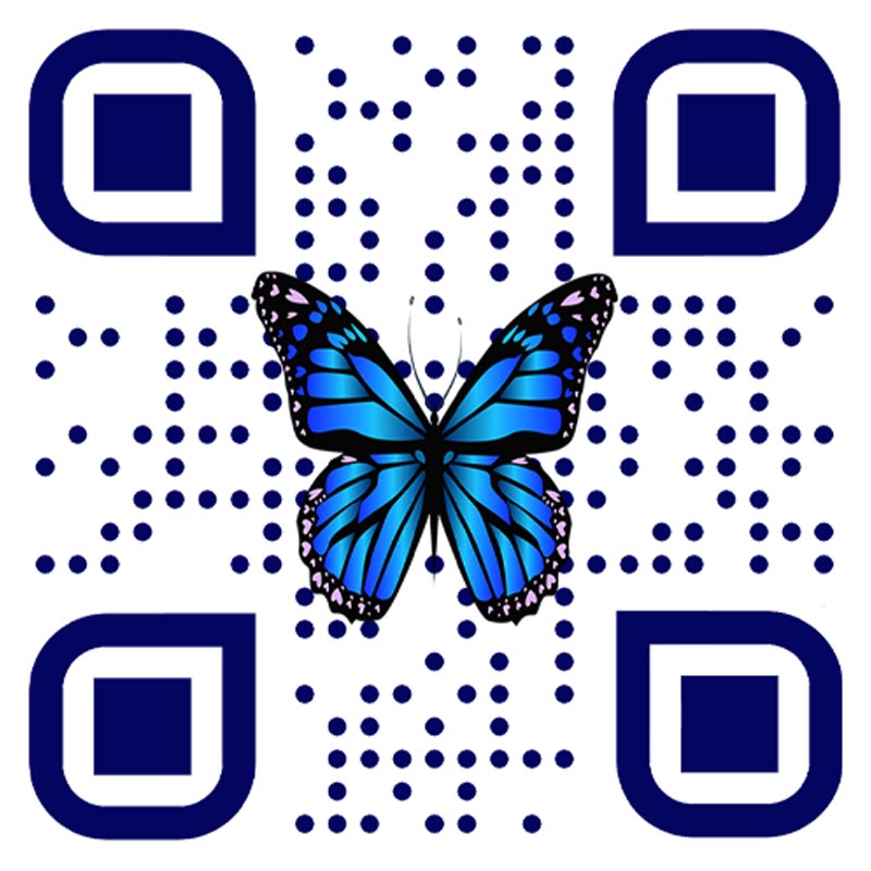 অজানা কণ্ঠস্বরের নির্দেশ অনুসরণ করে কোডারদের সামনে একটি মানচিত্র প্রকাশ্যে আসে। বিশ্বের মানচিত্রে পোল্যান্ড, অস্ট্রেলিয়া, দক্ষিণ কোরিয়া, আমেরিকার পশ্চিম উপকূল ফুটে ওঠে। মানচিত্রে উঠে আসা সেই নির্দিষ্ট জায়গাগুলিতে গিয়ে কোডাররা দেখেন, সেখানে একটি পোস্টার লাগানো। প্রতিটি পোস্টারে আছে এক একটি ‘কিউআর কোড’। কোডটি স্ক্যান করলে প্রজাপতির মতো একটি চিত্র ভেসে আসে।