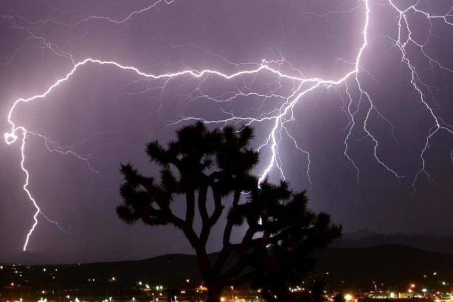 প্রাকৃতিক বিপর্যয়ের ইঙ্গিত তোয়াক্কা না করেই খেলা করছিল সে। আকাশে আলোর এই ঝলকানি তাকে মোহাবিষ্ট করে তুলেছিল। বজ্রাঘাত হতে পারে জেনেও সে চলে যায়নি।