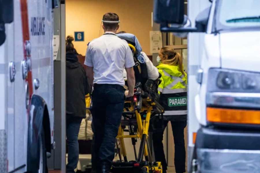  রেক্সের কথায়, ‘‘কাঁধ পুরো পুড়ে গিয়েছিল। বাঁচার আশা ছিল না একেবারে। জোরে শ্বাস নিচ্ছিল। অজ্ঞানও হয়নি। বরং সচেতন ছিল।’’