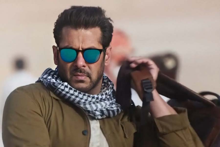 দারুণ জনপ্রিয় হয় শো। ইতিমধ্যে নাদিমকে এসকে টিভির ম্যানেজিং পার্টনার এবং অন্যতম প্রতিষ্ঠাতা হিসাবে ঘোষণা করেন সলমন।