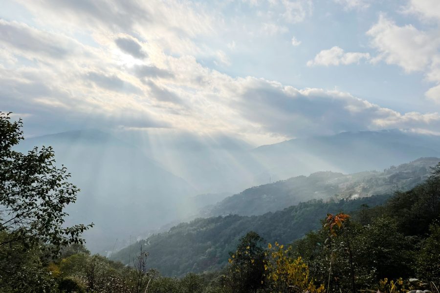 নানা ধরনের পাখির দেখা যেমন পাবেন, তেমনই ভাগ্য সহায় হলে বিরল প্রজাতির রেড পান্ডার দেখাও পেয়ে যেতে পারেন হঠাৎই ।