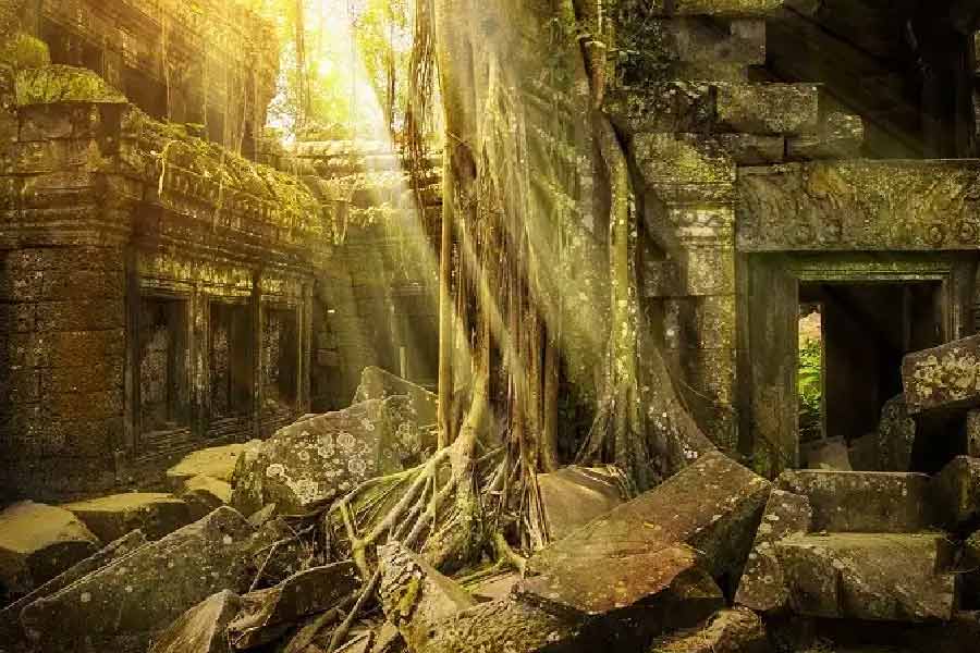 মায়া সভ্যতার এই প্রাচীন নগরে জল সংরক্ষণের সুব্যবস্থা ছিল বলে প্রত্নতত্ত্ববিদেরা জানিয়েছেন। নগরের ধ্বংসাবশেষ থেকে তার প্রমাণও পেয়েছেন তাঁরা। নগরের অধিকাংশ জায়গায় জল সংরক্ষণের জন্য আলাদা জায়গা ছিল বলে জানান তাঁরা। 