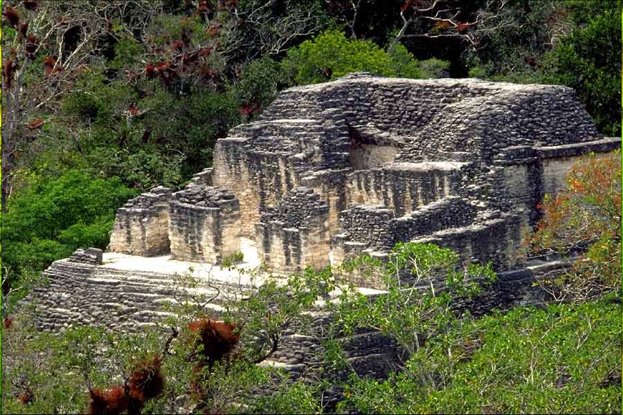 রেডিয়ো তরঙ্গের পরিবর্তে লিডার প্রযুক্তিতে লেজ়ার রশ্মি ব্যবহার করা হয়। লেজ়ারের মাধ্যমে অরণ্যের গভীর আস্তরণ ভেদ করা যায়। মাটির তলায় কোনও ধ্বংসাবশেষ থাকলেও তার স্পষ্ট ছবি ধরা পড়ে লিডার প্রযুক্তির মাধ্যমে।