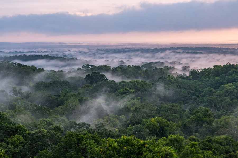 পুরনো তথ্য ঘাঁটলে দেখা যায় যে, মায়া সভ্যতার অধিবাসীরা কোথাও বসবাস করলে ছড়িয়ে-ছিটিয়ে থাকতে পছন্দ করতেন। কিন্তু এই নগরের অধিবাসীদের আচরণ ভিন্ন। তাঁরা এক জায়গায় ঘনবদ্ধ বসতি গড়ে তুলতেন বলেই অনুমান। প্রাচীন নগরের এই সন্ধান পাওয়ার ফলে তা মায়া সভ্যতার রাজনীতি, সামাজিক অবস্থা এবং বসতির গঠন সম্পর্কে কোনও নতুন পথের খোঁজ দিতে পারছে কি না, তা নিয়ে গবেষণা চলছে।