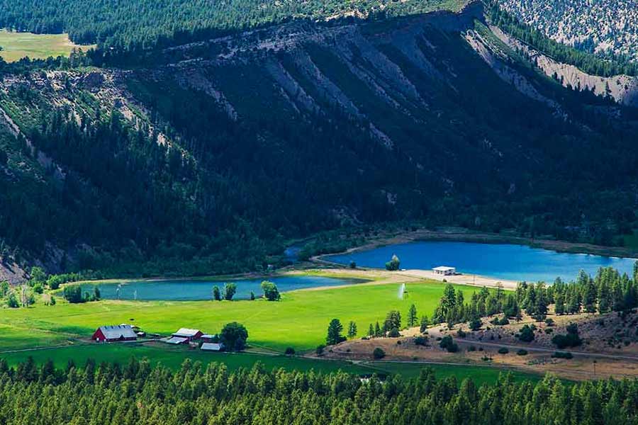 সিলভার ওক-ফার্ন-ইউক্যালিপটাস-পাইন গাছে ভরা কুন্নুর শহরটা ঘুরে দেখতে মন্দ লাগবে না আপনার।