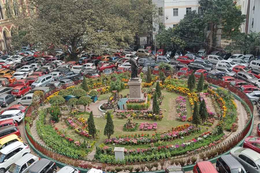 সকাল ১১টা ৪৭ মিনিট— রেজিস্ট্রার জেনারেলের অফিস থেকে বেরিয়ে রাজ্যের অ্যাডভোকেট জেনারেল (এজি) এবং কেন্দ্রের সলিসিটর জেনারেলের (এএসজি) অফিসের দিকে এগোলেন বার কাউন্সিল অফ ইন্ডিয়ার সদস্যরা। 