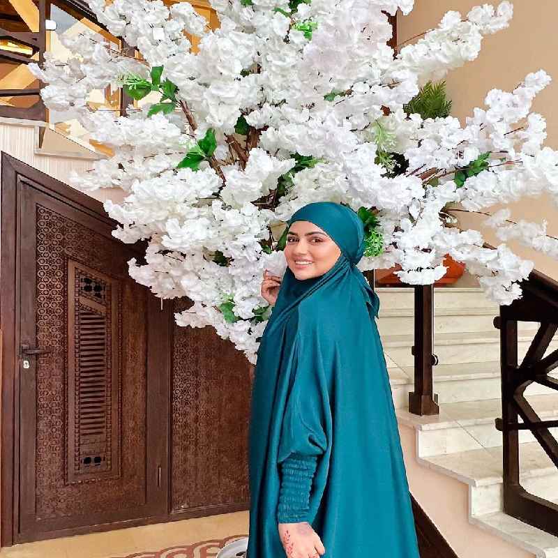 সানা বলেন, ‘‘আমার অতীত জীবনে আমি সব কিছুই পেয়েছিলাম। নাম, যশ, টাকা, কিছুর অভাব ছিল না। কিন্তু আমার মনে কোনও শান্তি ছিল না। ধীরে ধীরে অবসাদগ্রস্ত হয়ে পড়ি আমি।’’