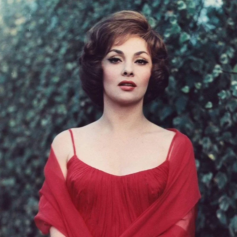 চিত্রগ্রাহক হিসাবেও দক্ষতা ছিল জিনার। অভিনেত্রী এবং নৃত্যশিল্পী হিসাবে কেরিয়ার যখন মধ্যগগনে, তিনি চিত্রসাংবাদিক হিসাবে কাজ শুরু করেন। খ্যাতি আসে তাতেও। 