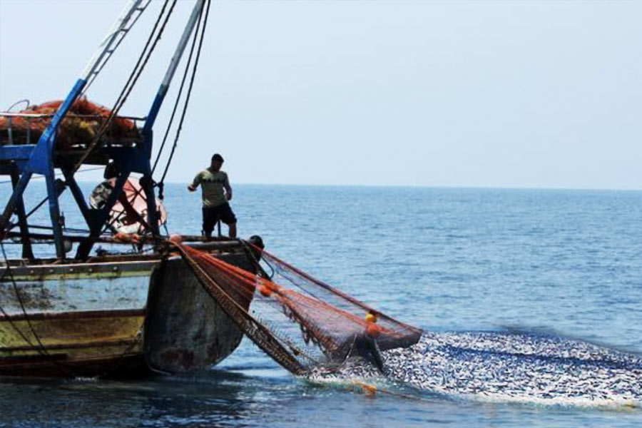 শ্রীলঙ্কার মৎস্যজীবীদের নৌকাটি অগাস্টিনদের নৌকাটিকে টেনে অগভীর সমু্দ্রে নিয়ে যায়। সেখানে জলের গভীরতা ছিল ২৬ ফুট। ওই জায়গায় গিয়ে নোঙর ফেলে নৌকাটি। কিন্তু শ্রীলঙ্কার মৎস্যজীবীদের নৌকা ভারতীয় জলসীমানায় প্রবেশ করতে পারে না। তাই সেখানকার মৎস্যজীবীরা পরামর্শ দেন, অন্য ভারতীয় মৎস্যজীবীদের নৌকাকে ওয়্যারলেস বার্তা পাঠাতে।