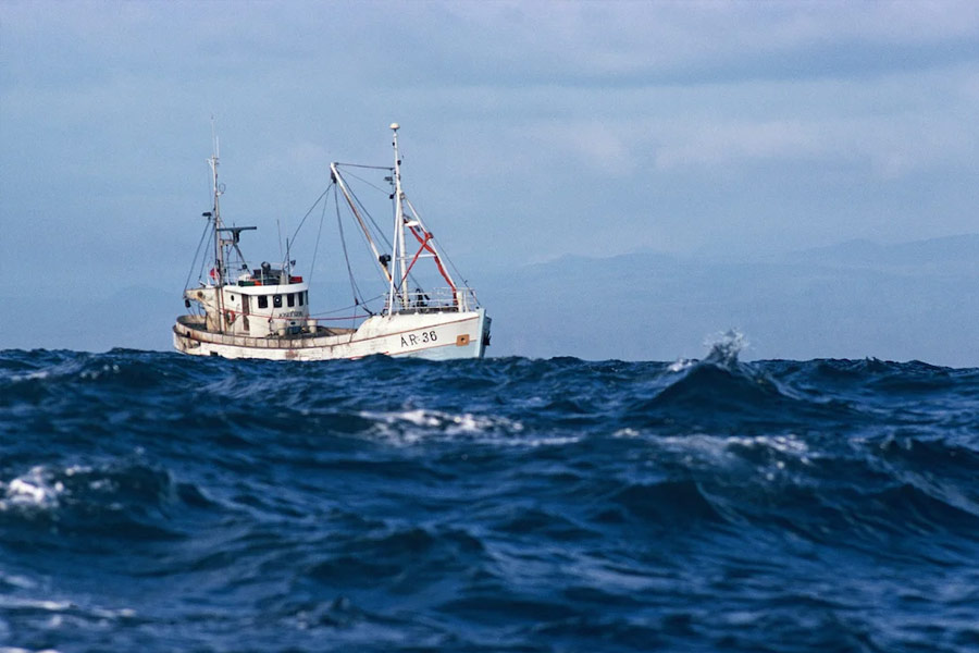 দু’ঘণ্টা পর ওই জাহাজ থেকে পানীয় জল আর ফলের ঝুড়ি নিয়ে দ্বীপে দেখা করতে আসেন দু’জন মৎস্যজীবী। এর পর দ্বীপে আটকে থাকা মৎস্যজীবীদের ডিঙিতে চাপিয়ে নিজেদের জাহাজে নিয়ে যান। 