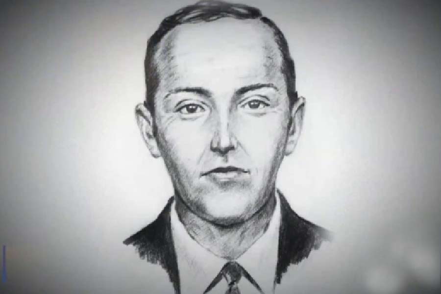 বিমানকর্মী এবং যাত্রীদের সঙ্গে কথা বলে কুপারের একটি স্কেচ তৈরি করা হয়। তাঁর ছবির সঙ্গে তাঁকে দেওয়া ডলারের নম্বর সর্বজনীন করেও লাভের লাভ হয়নি। দেওয়া হয়েছিল পুরস্কারের প্রলোভনও। তাতেও সমাধান হয়নি বিমান অপহরণ রহস্যের। কুপার কোথায় ঝাঁপ দিয়েছিল,  তা-ও জেনেছিলেন গোয়েন্দারা। আমেরিকার একটি পাহাড় ও জঙ্গলে ঘেরা এলাকায় তাঁর অবতরণের কথা জেনেছিলেন তাঁরা। কিন্তু সেই এলাকা তন্ন তন্ন করে খুঁজেও পাওয়া যায়নি কুপারের খোঁজ।