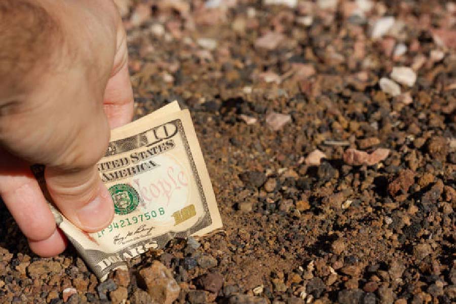 ১৯৮০ সালে দক্ষিণ ওয়াশিংটনের কলম্বিয়া নদীর ধারে একটি বাচ্চা খেলা করছিল। সেই বাচ্চাটি বালি খুঁড়তে খুঁড়তে তিনটি ডলারের বান্ডিল পায়। ছেলের হাতে এত ডলার দেখে ঘাবড়ে যান তাঁর বাবা-মা।