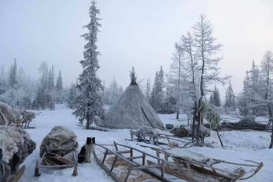 রটিফারের উপর গবেষণা নিয়ে পরবর্তী ধাপেও গিয়েছিলেন রাশিয়ার বিজ্ঞানীরা। ঠিক কতটা প্রতিকূল পরিবেশে এই প্রাণীটি বেঁচে থাকে তা পরখ করে দেখতে চাইছিলেন তাঁরা।