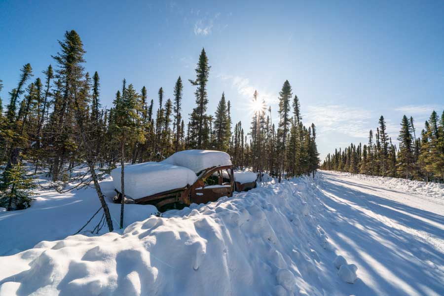 সাইবেরিয়ার বরফের পুরু আস্তরণের নীচে ১১ ফুট ভিতর থেকে ডেলয়েড রটিফারের সন্ধান পাওয়া যায়। এই পরিবেশেও ডেলয়েডগুলি বহাল তবিয়তে বেঁচে ছিল।