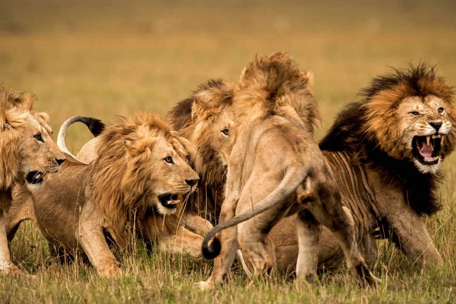 ১৮ বছরের আগের সেই ঘটনা দেশে-বিদেশের বহু সংবাদমাধ্যমের শিরোনামে উঠে এসেছিল। এই ঘটনার সত্যতা নিয়েও উঠেছিল বহু প্রশ্ন। কী কী গুঞ্জন উঠেছিল সেই ঘটনা নিয়ে? সত্যিটাই বা কী? তা নিয়েও নানা মুনি নানা মত দিয়েছিলেন।