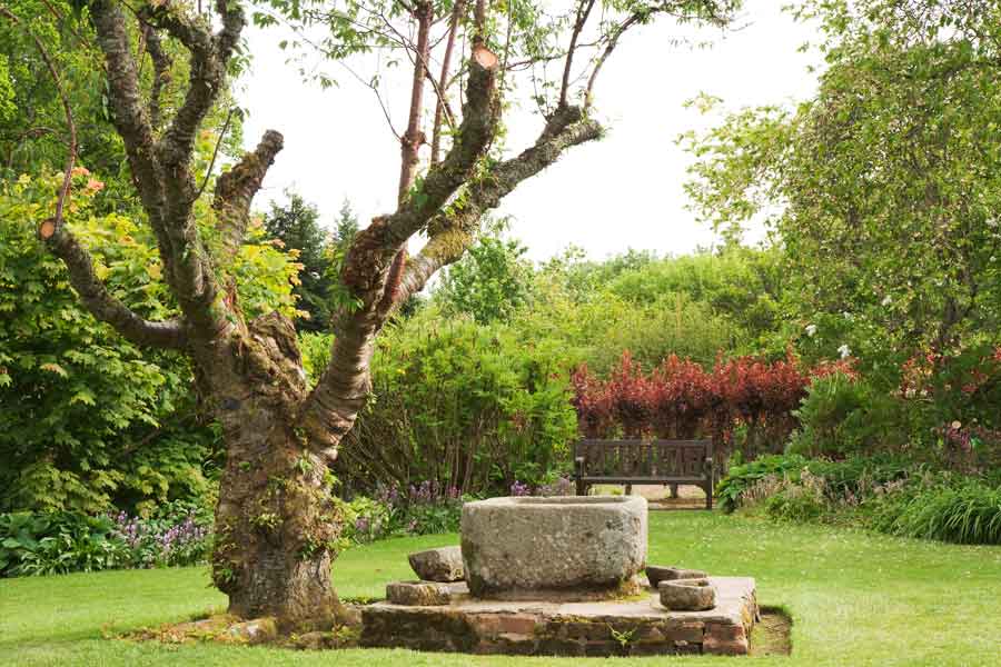 তবে কুঠারের কোপ মারার পরিবর্তে গাছ কাটতে অন্য এক পন্থা অবলম্বন করেছিলেন হেনরি। আর সেই নতুন উপায়ই তাঁর মৃত্যুর কারণ হয়ে দাঁড়িয়েছিল।