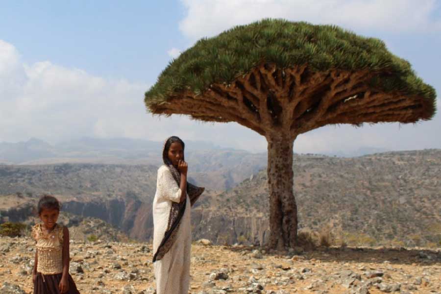 ছোট ছোট একাধিক ভূখণ্ড থাকলেও সোকোত্রার মূল ভূখণ্ডেই মানুষের বসতি গড়ে উঠেছে। এই দ্বীপের লোকসংখ্যা মেরেকেটে ৫০ হাজার। মূলত আদিবাসী সম্প্রদায়ের মানুষ সোকোত্রায় বাস করেন।