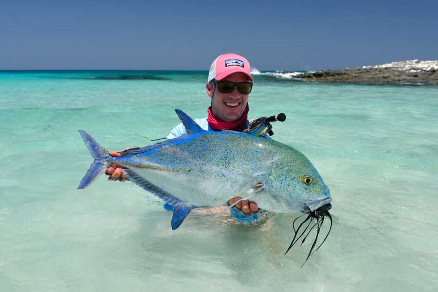 সোকোত্রার জলজ জীবনও বৈচিত্র্যময়। নানা বিরল প্রজাতির মাছ, কাঁকড়া, লবস্টার এই দ্বীপে পাওয়া যায়। বিশ্বের অন্য কোথাও এদের দেখা মেলে না।